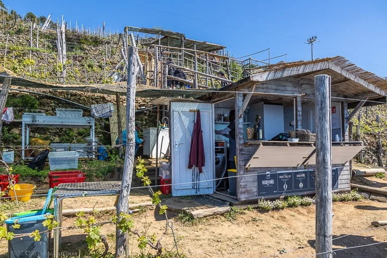 hillside wine tasting room at Cantina Capellini in Volastra, Italy
