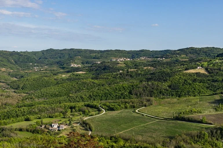 Mirna Valley Is Motovun worth visiting? The answer is almost certainly yes!