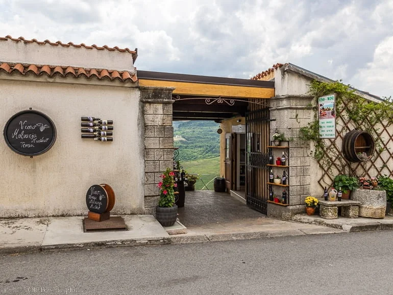 Motovun Wine