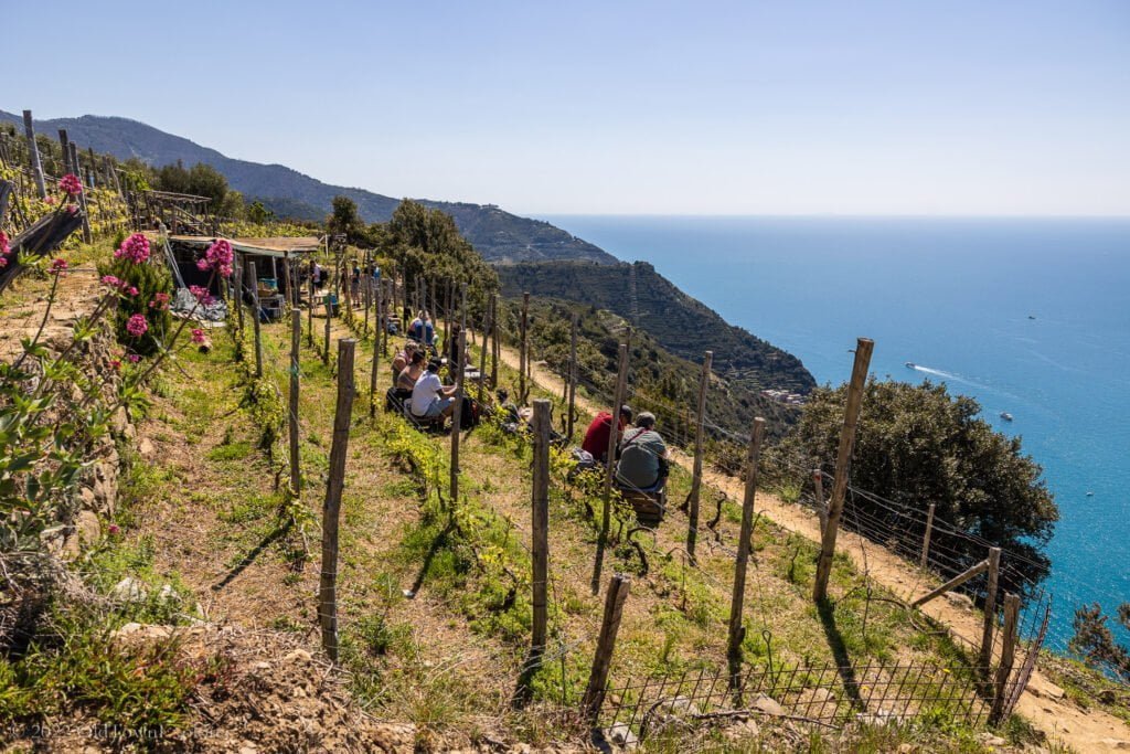 Cantina Capellini Volastra Italy