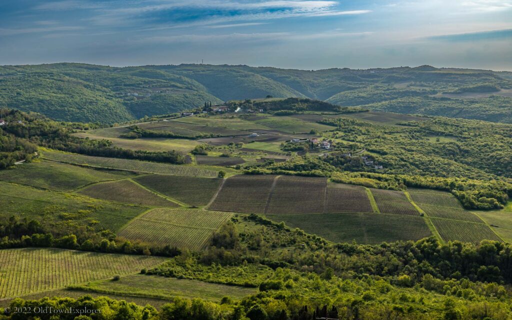 Istria Wine Istria Wine