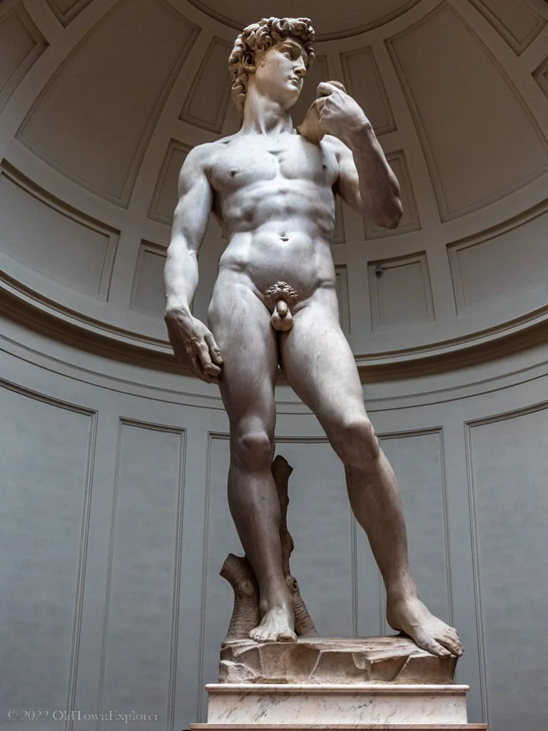 Michelangelo's David in Florence, Italy
