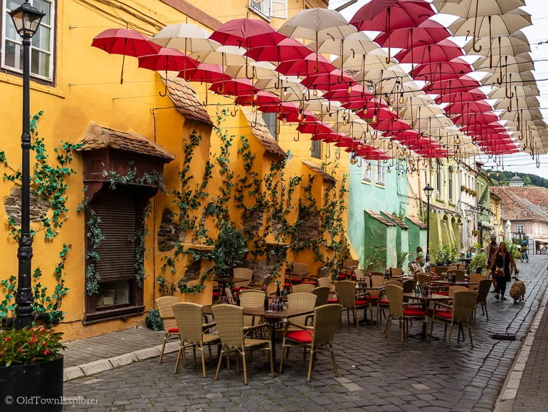 Mimoza Wine in Sighisoara, Romania