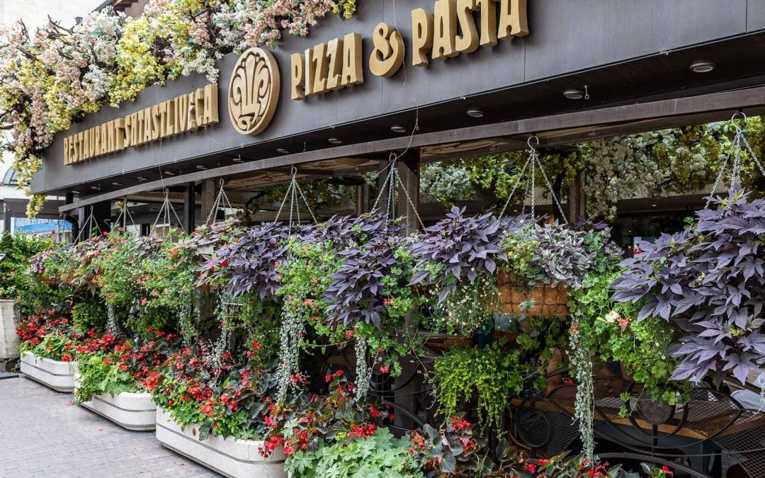 Is Veliko Tarnovo Worth Visiting?