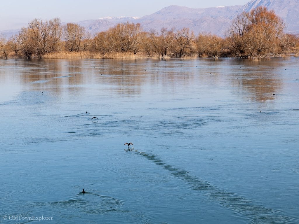Lake Shkodra in Shkoder, Albania Lake Shkodra in Shkoder, Albania