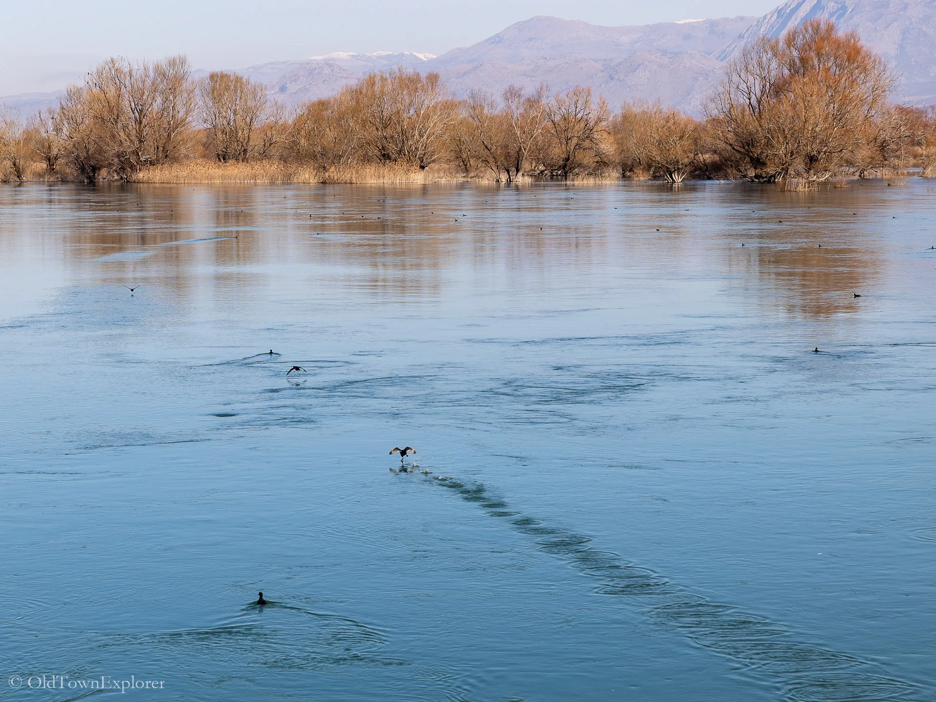 Lake Shkodra in Shkoder, Albania