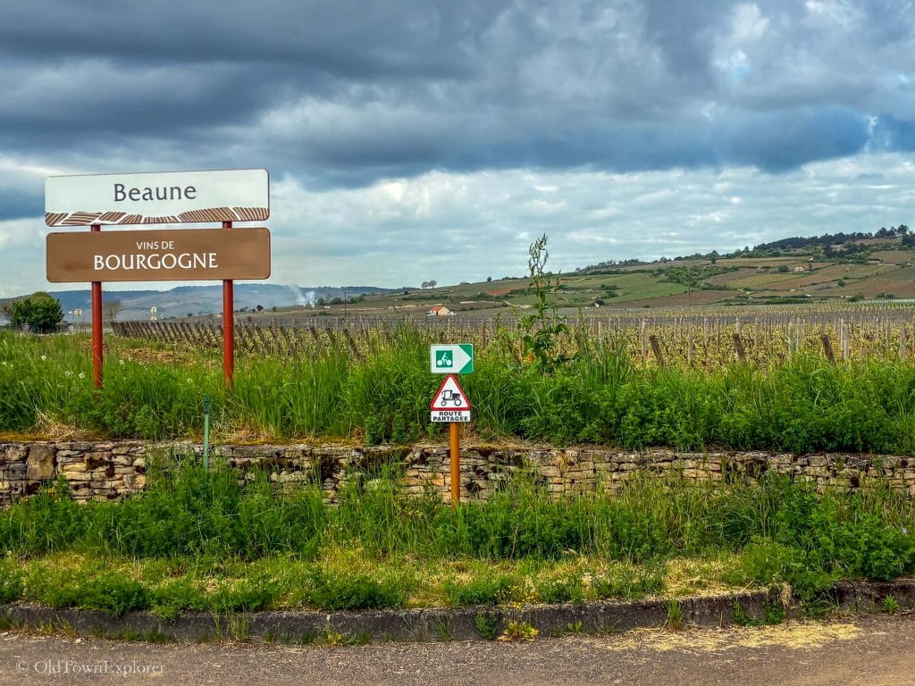 Burgundy Wine Region