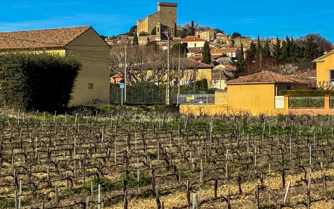 Explore Wineries in Chateauneuf-du-Pape, France