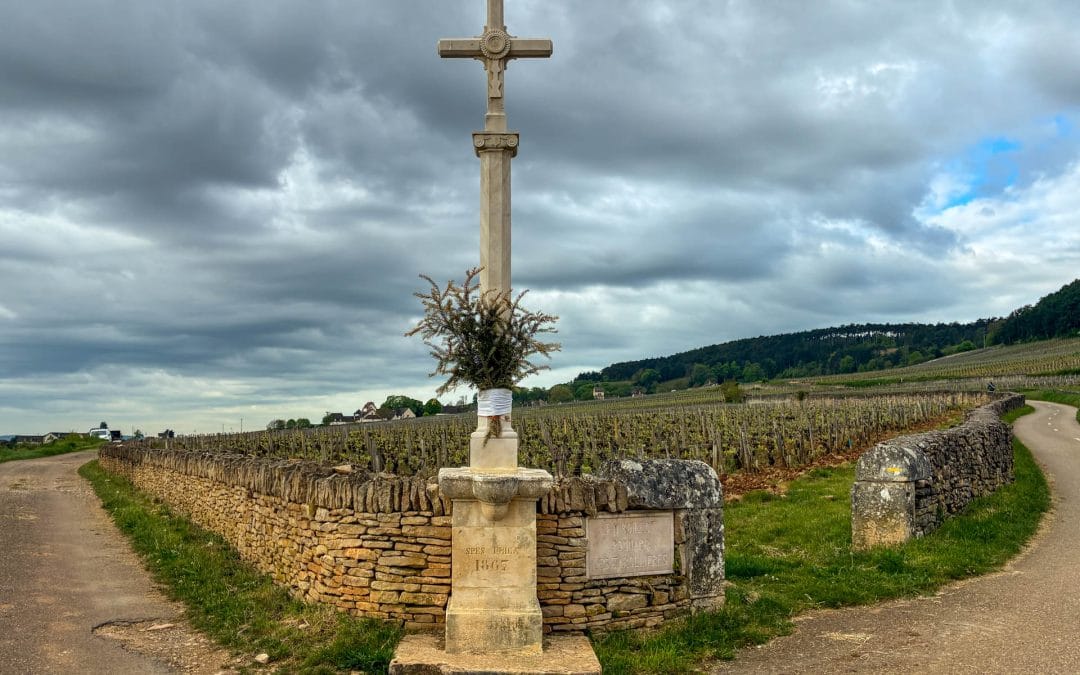 Explore Wineries in Pommard, France