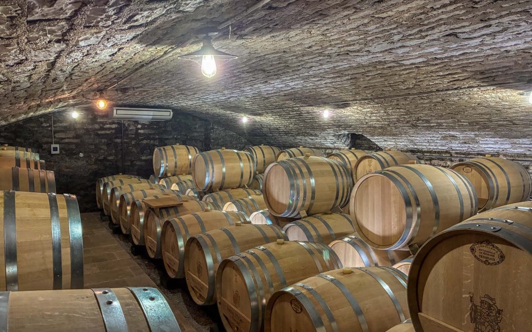 Explore Wineries in Volnay, France